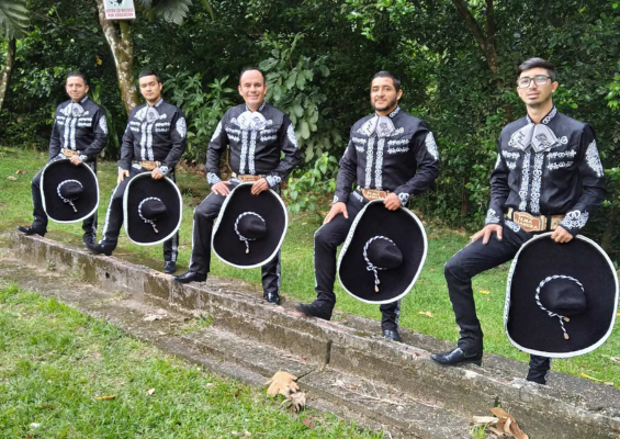 Mariachi Alma Llanera