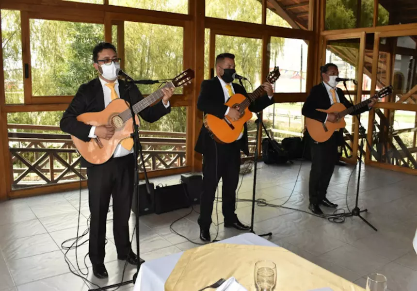 Trio Musical Aires